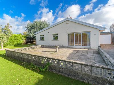 Picture 27